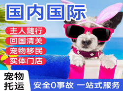 阿荣空运代理国际宠物托运 【国